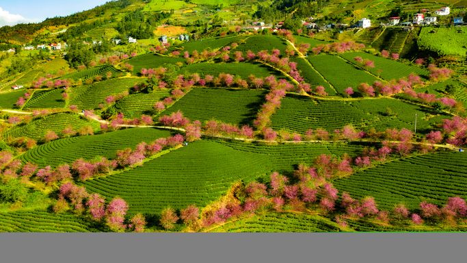 Dji 0076