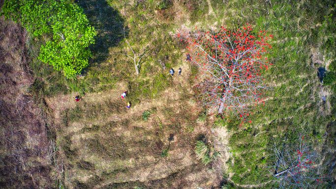 Dji 0400