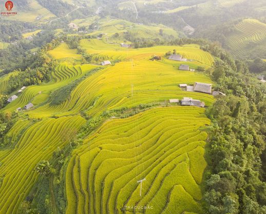 Dji 0482