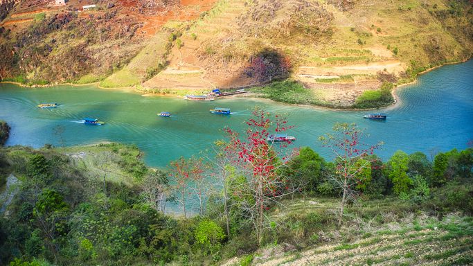 Dji 0584