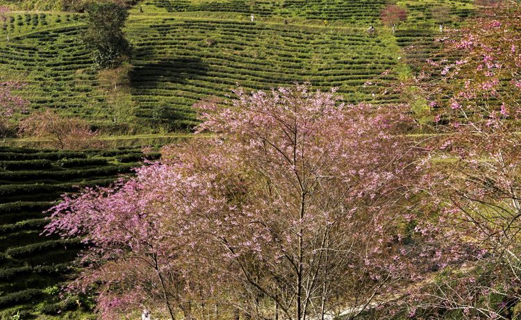 Dsc01797