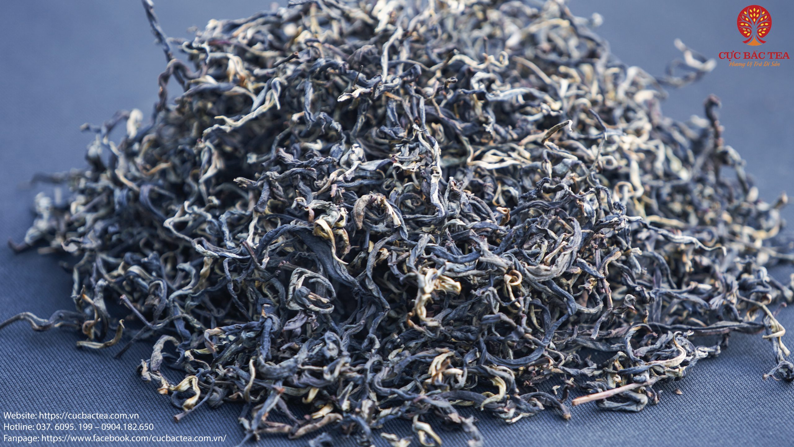 Hồng Trà