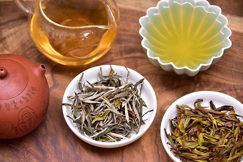 Pha Luong Tra Bao Nhieu La Can Thiet